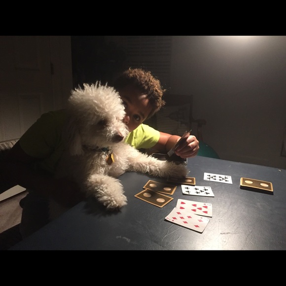 Meet your Posher, Tayib - Picture 1 of 1